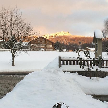 Gästehaus Biggi Hotell Bodenmais Exteriör bild