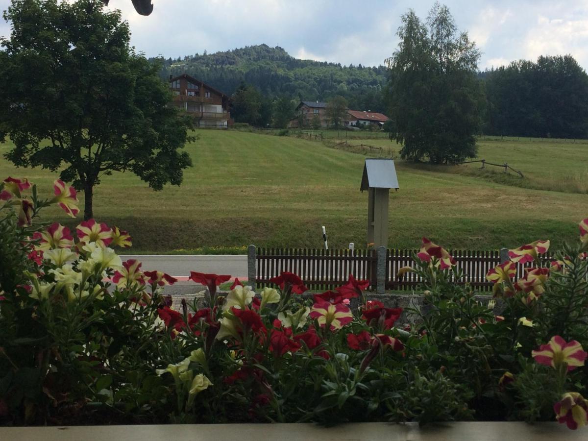 Gästehaus Biggi Hotell Bodenmais Exteriör bild