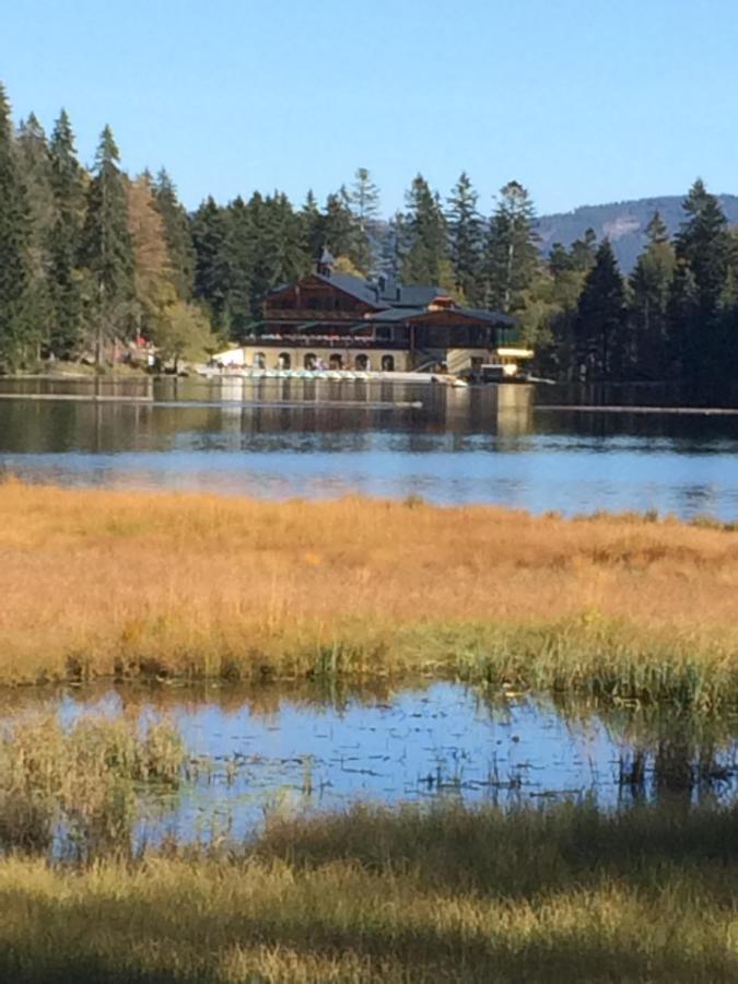 Gästehaus Biggi Bodenmais Exteriör bild
