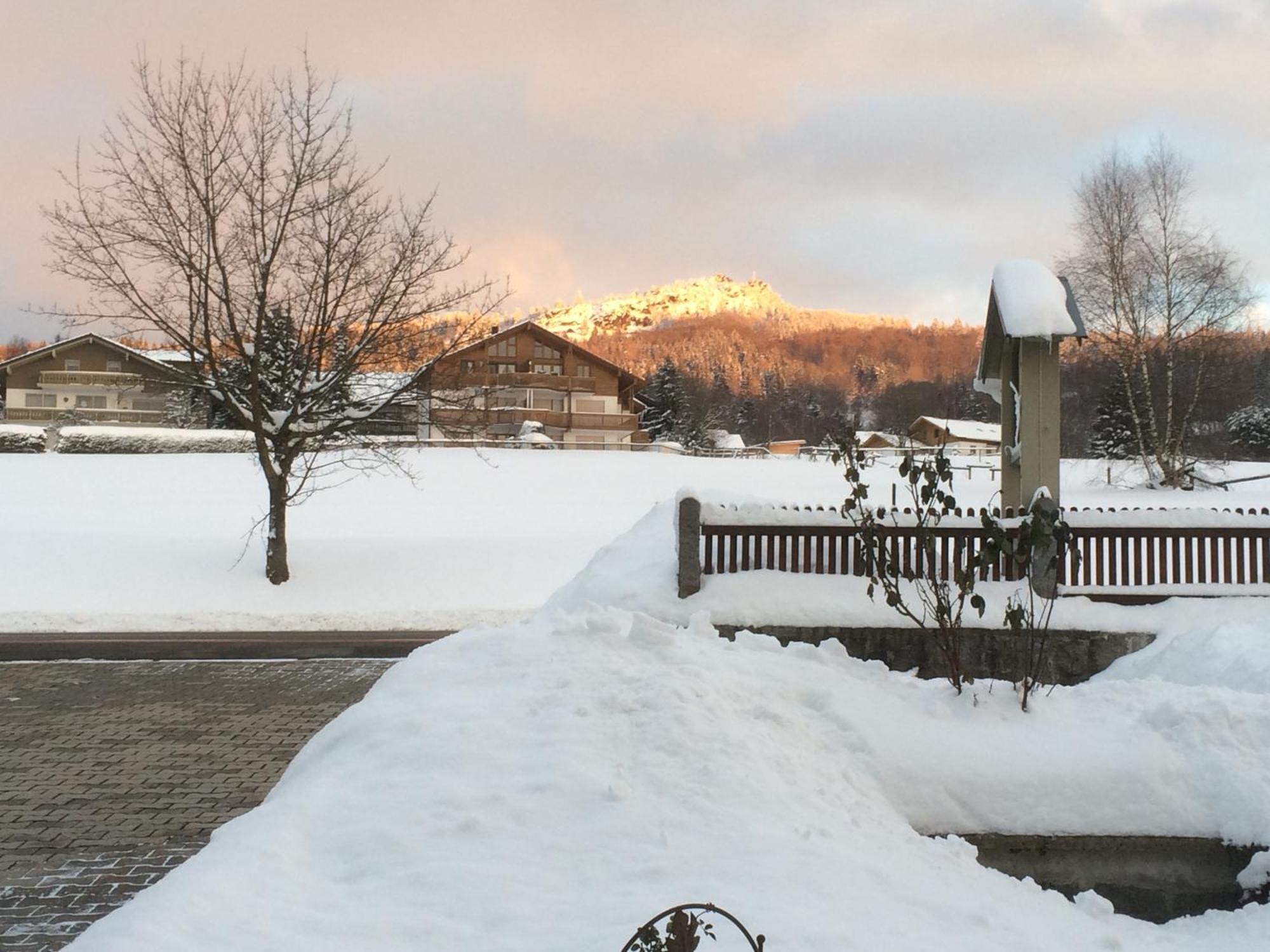 Gästehaus Biggi Hotell Bodenmais Exteriör bild